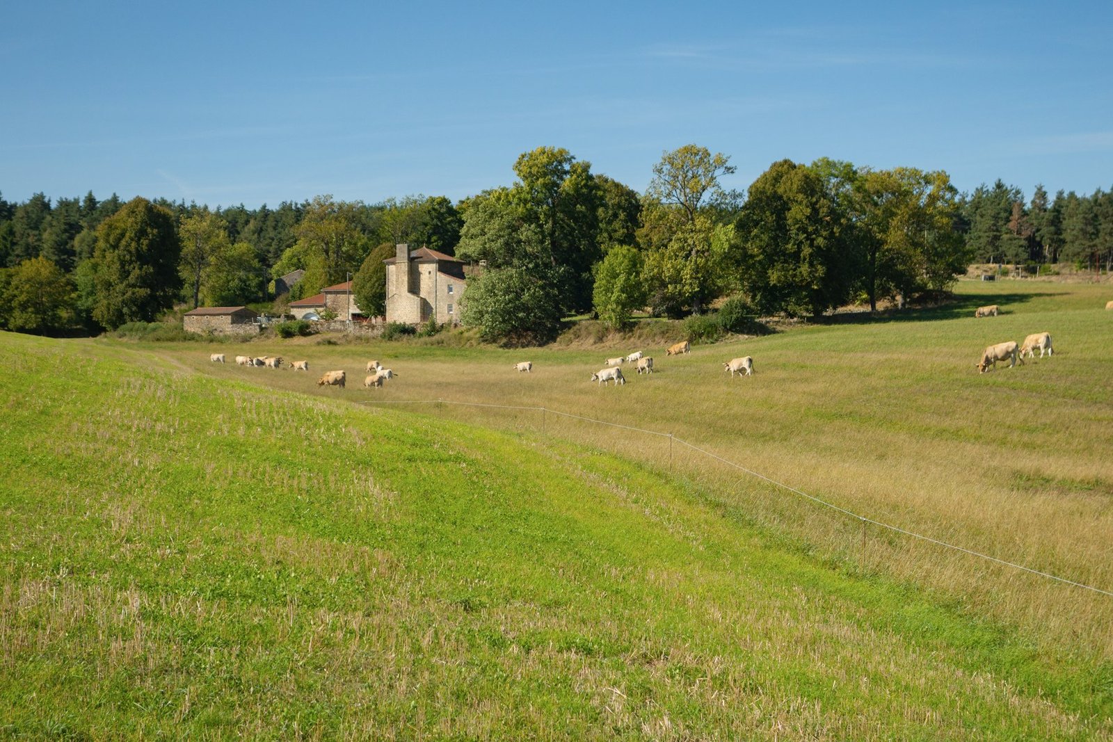 Corps de ferme à restaurer sur 4 800 m², photo 2