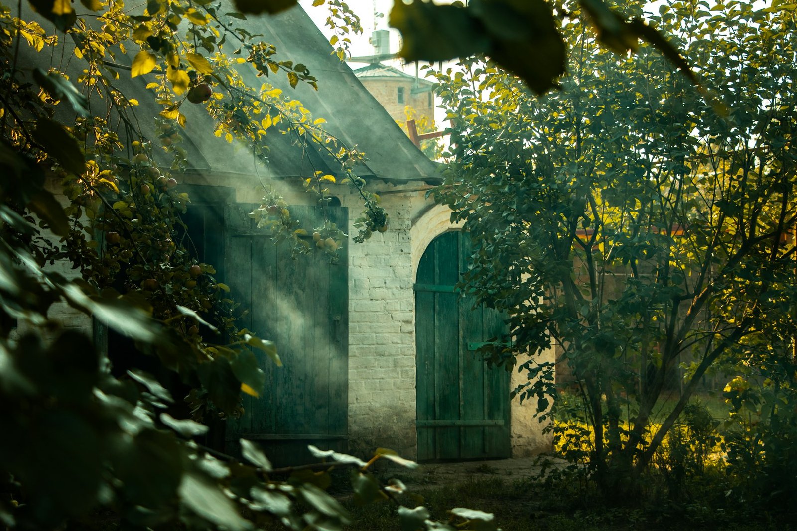 Maison de bourg en pierre, photo 5