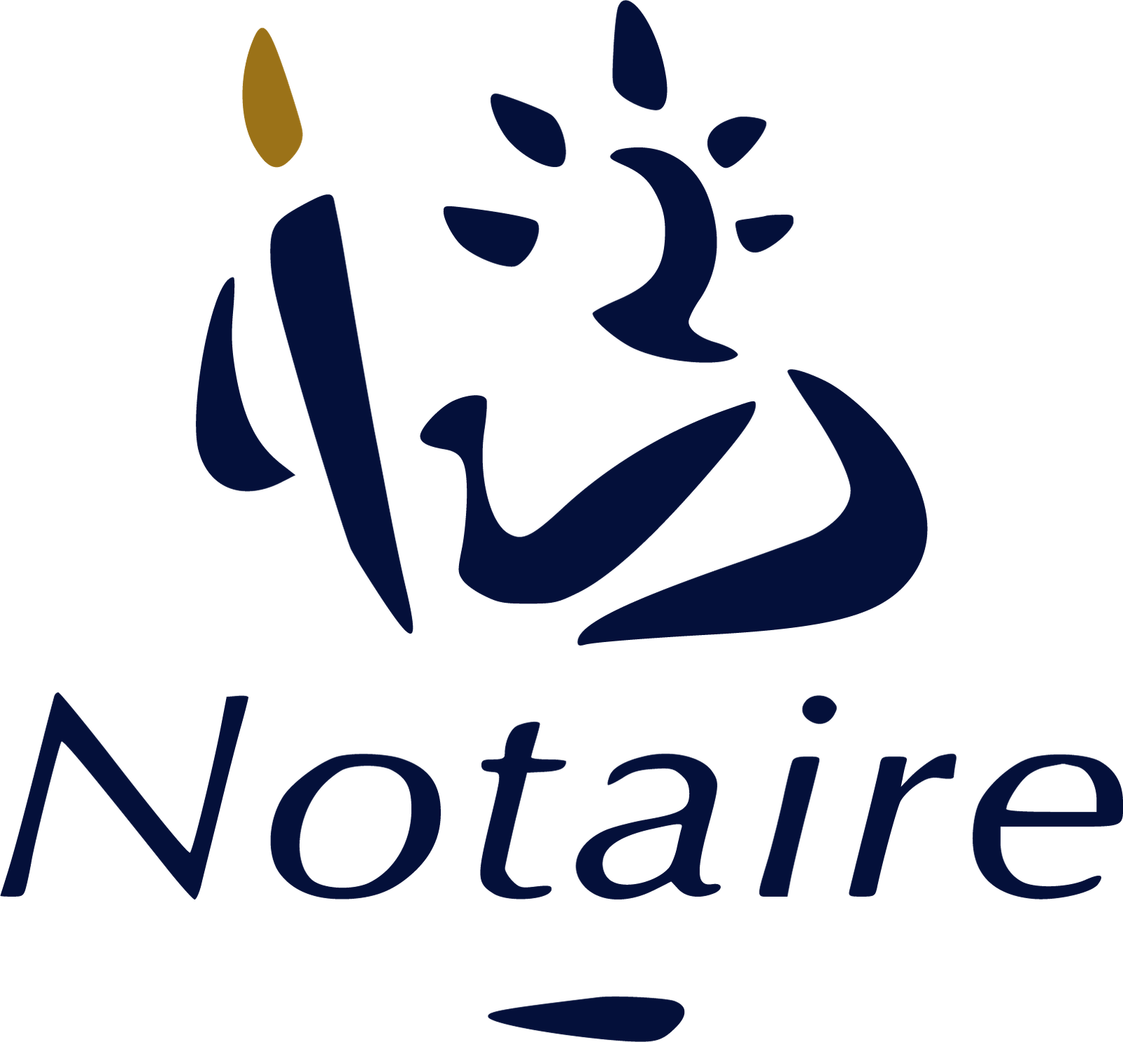NotaPulse